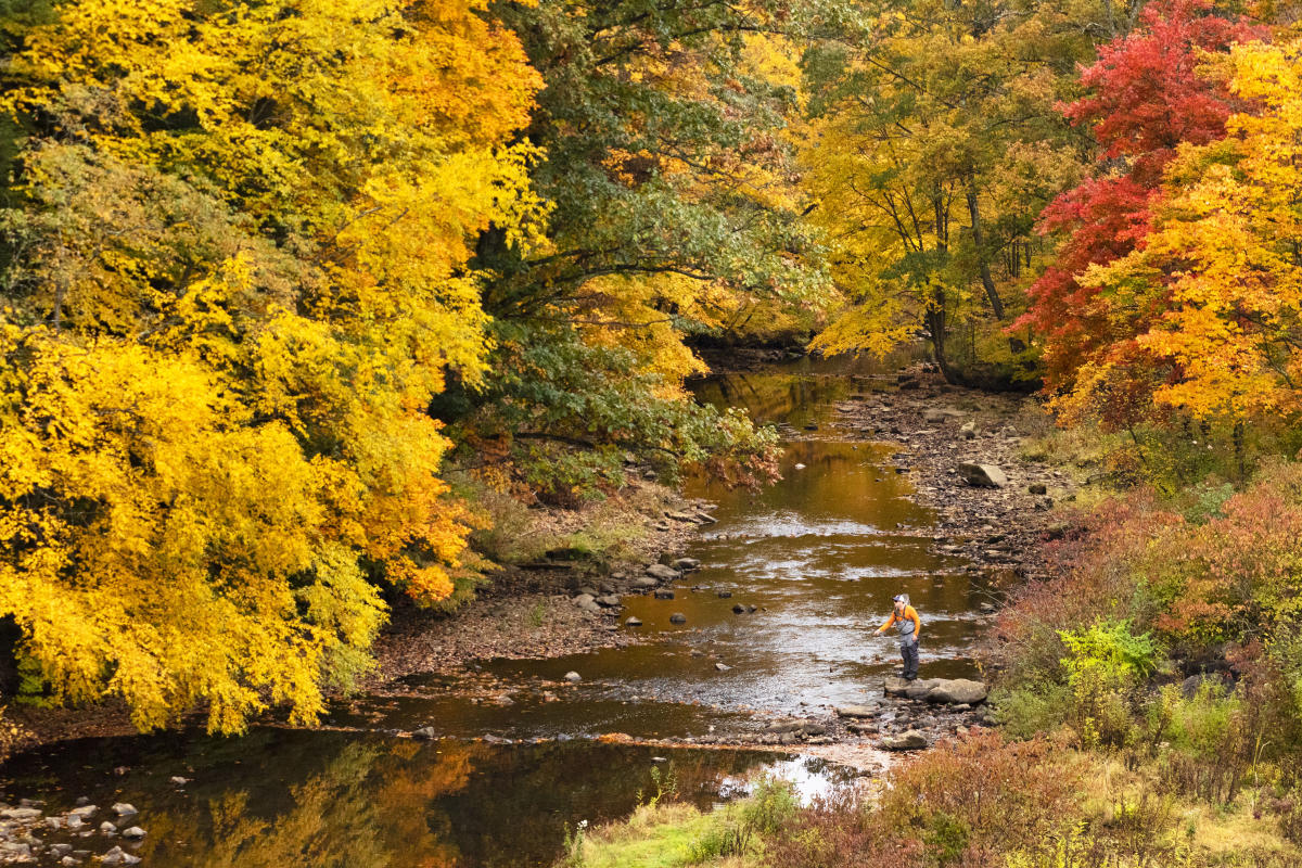 Rusty Glessner, Laurel Hill State Park, Somerset - Fishing