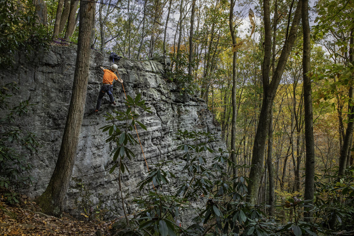 SECOND PLACE Linda Seanor, Ohiopyle State Park
