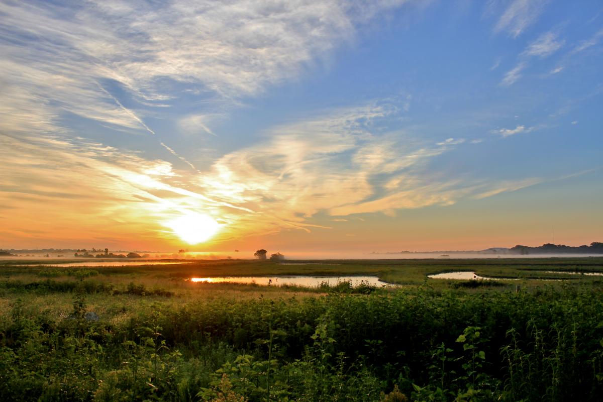 Baker University Wetlands