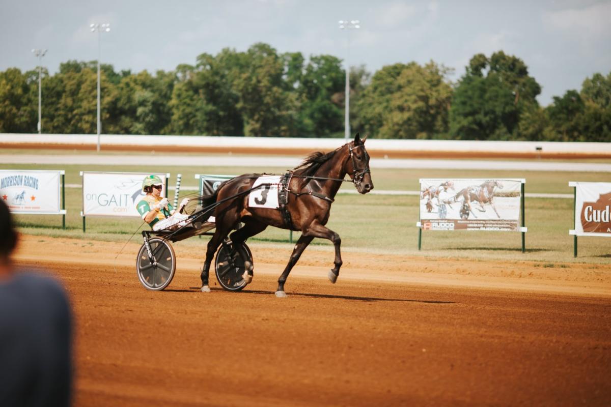 Horse carriage racing
