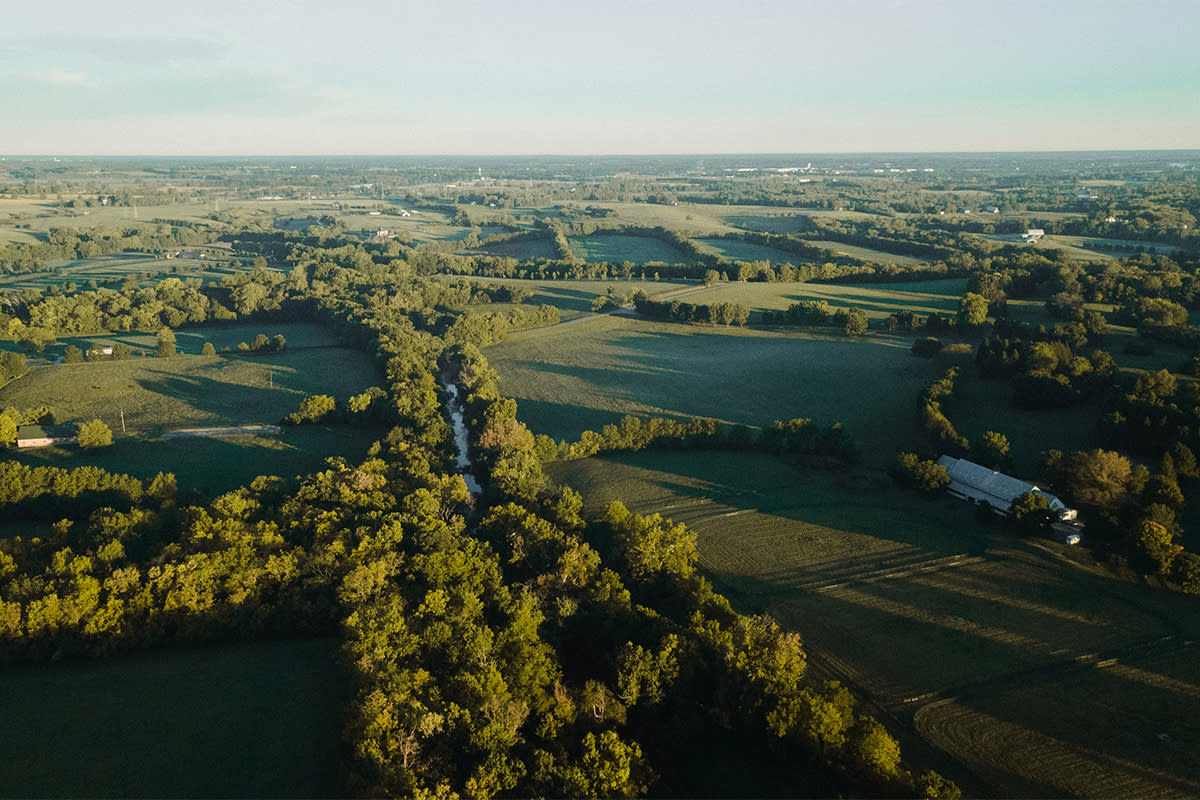 Horse Farms green landscape