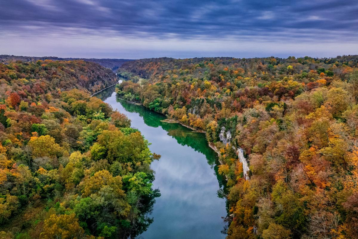 Billy Yarosh - Raven Run