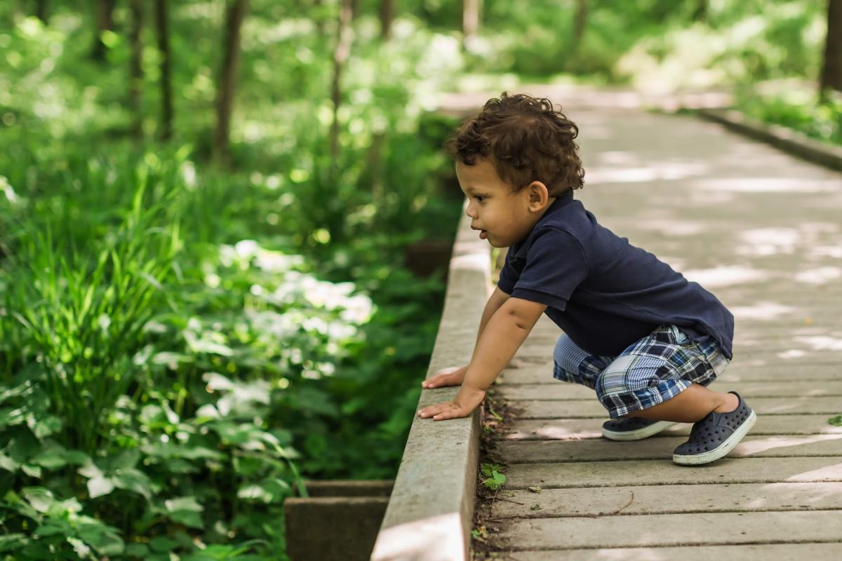 Little boy gazing over pathway into the woods