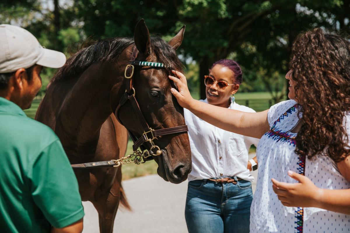 Two people petting a horse on a horse farm tour.