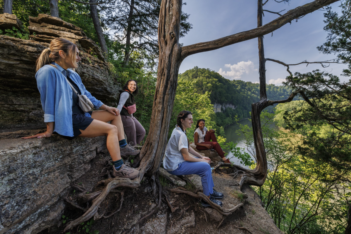 4 hikers sitting at an overlook in the woods