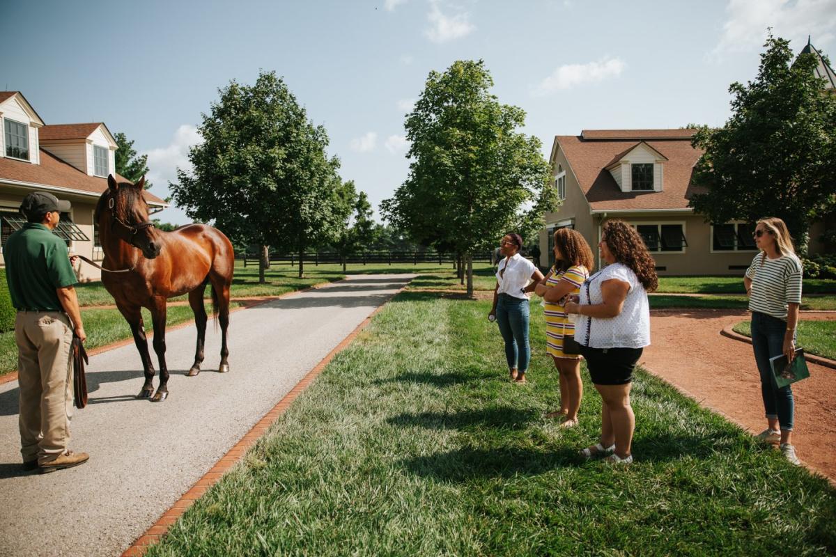 Horse Farm Tour