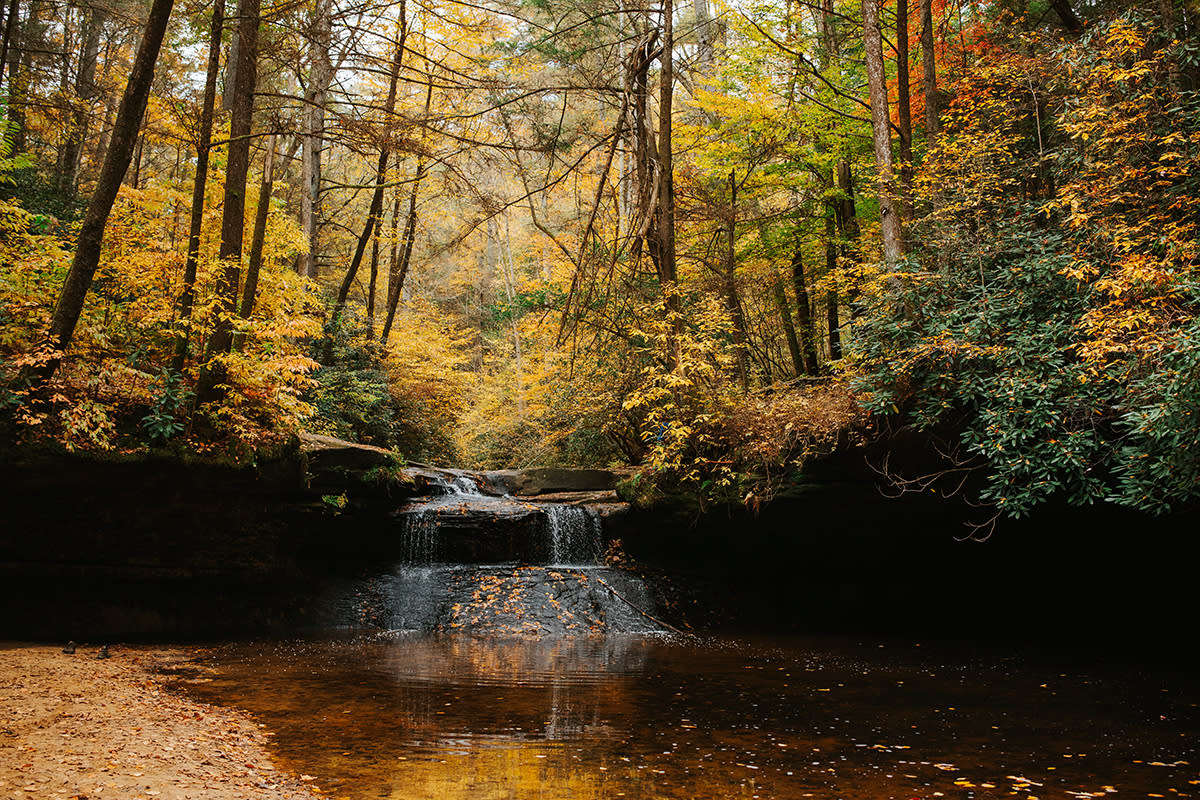 Fall Outdoors