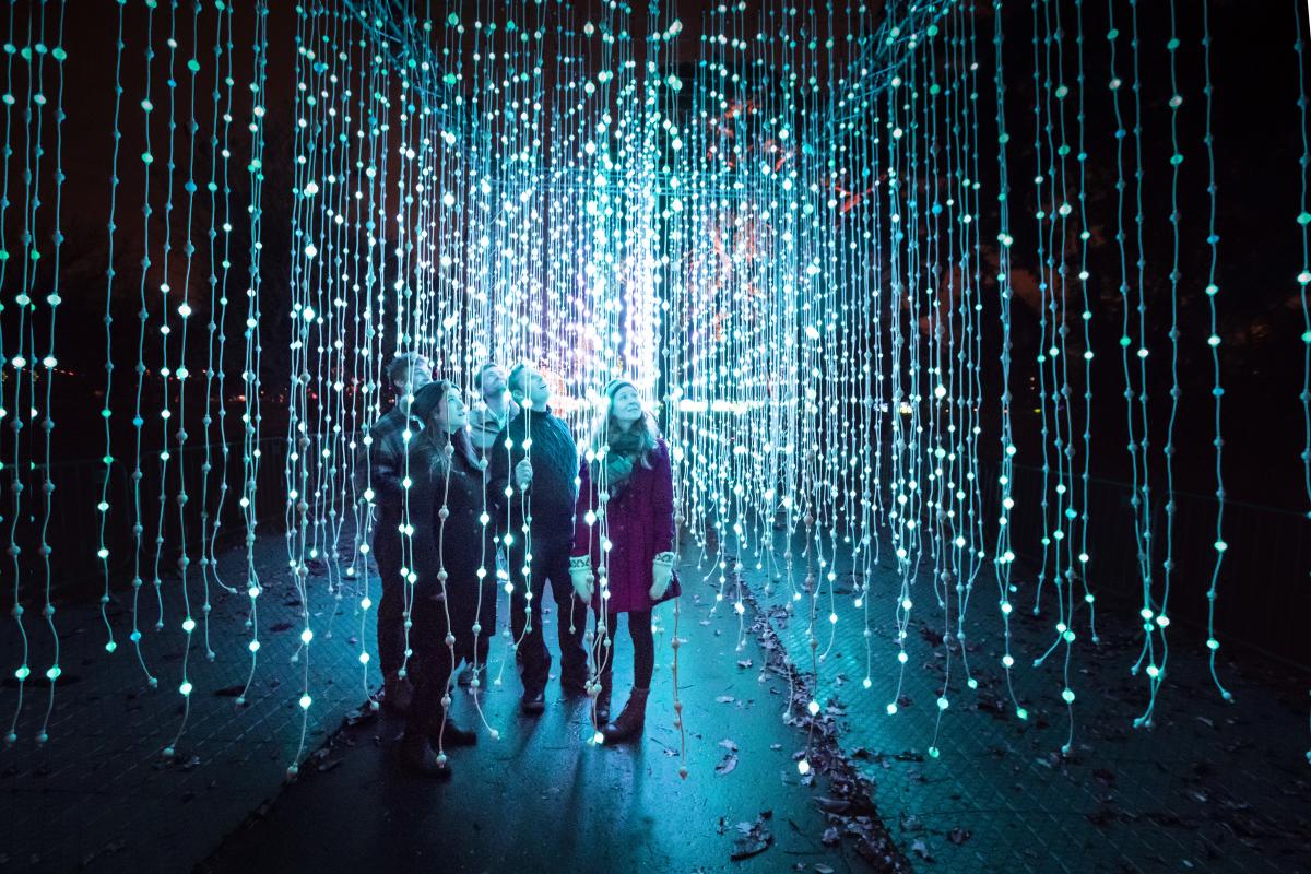 Image shows a group of people under a curtain of lights, at Belton's Christmas event.