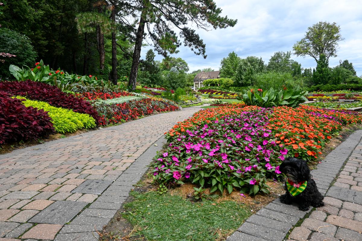Bella at Sunken Gardens