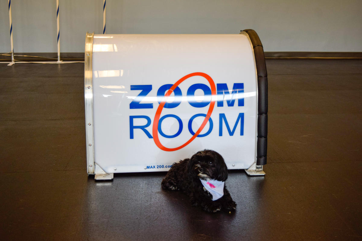 Zoom Room: Bella's Best