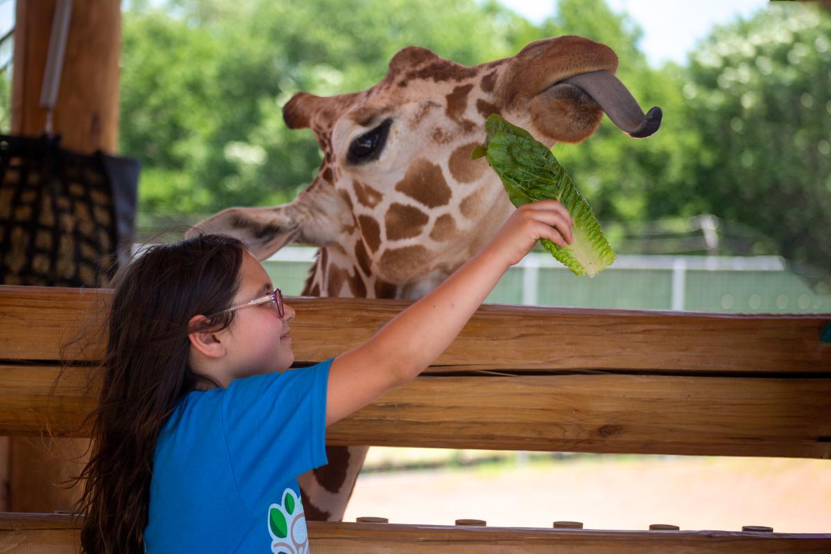 Lincoln Children's Zoo