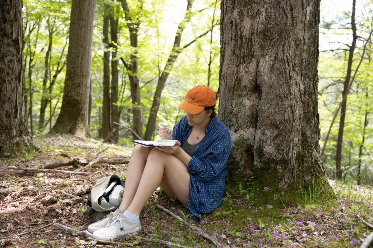 Woman drawing at Letchworth in woods