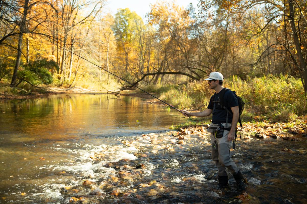 Man Fly Fishing
