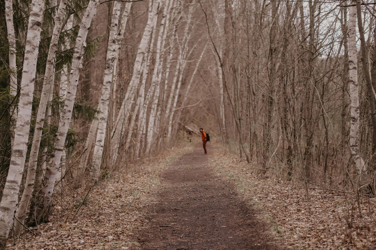 Genesee Valley Greenway