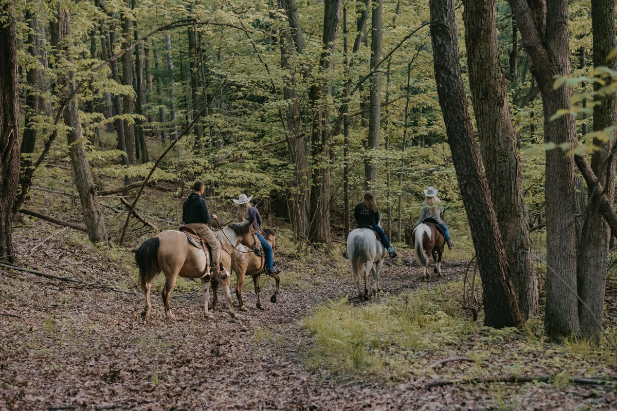 Horse Trail Ride