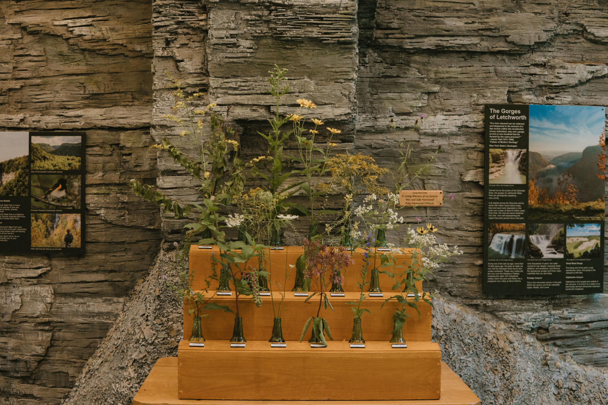 Display at Humphrey Nature Center