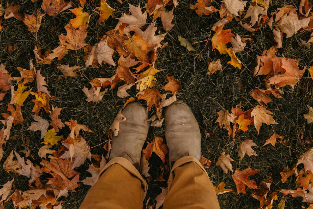 Fall Leaves Under Feet