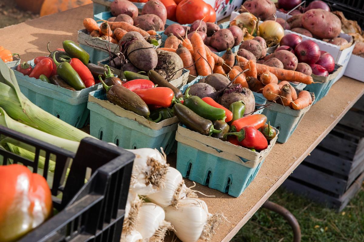 Veggies at Pumpkin Fest