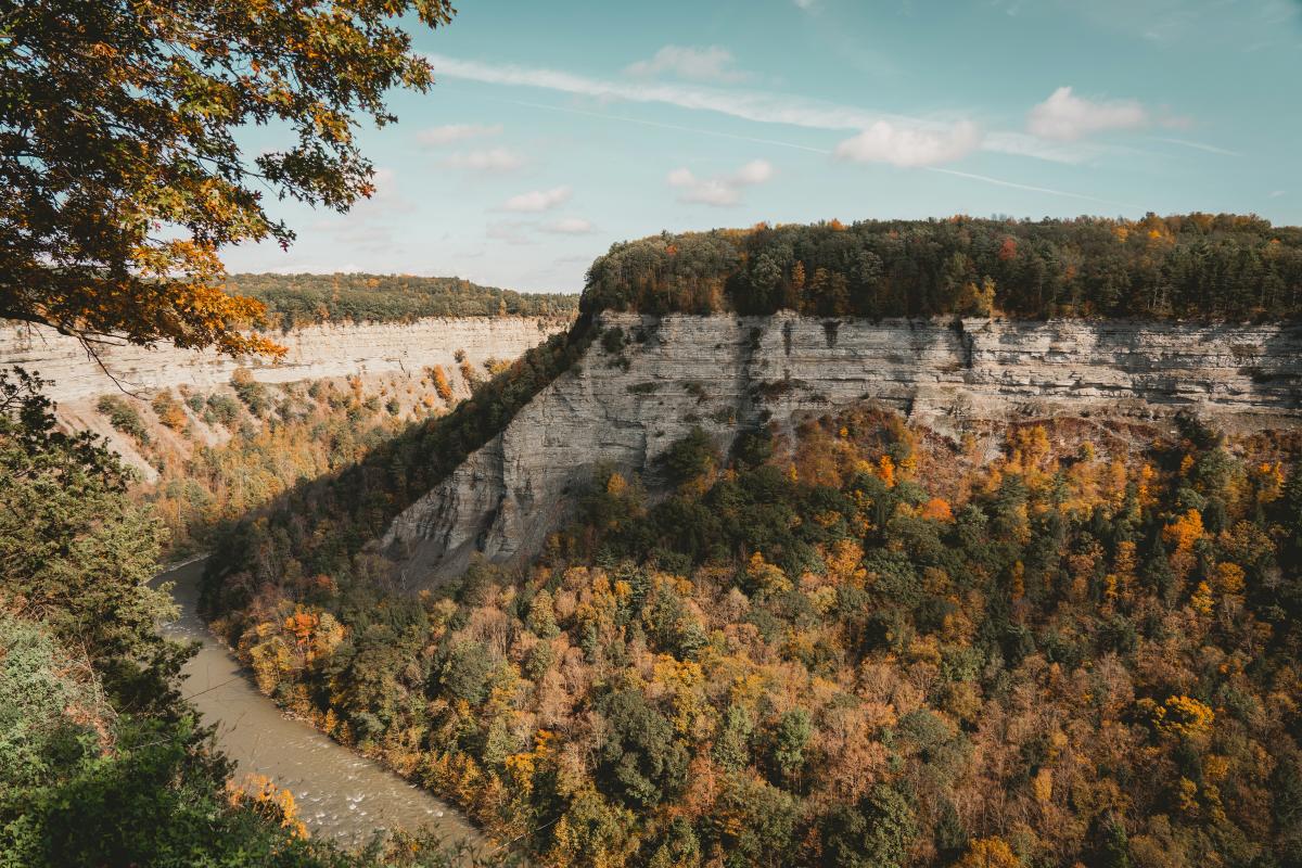 Letchworth Fall Foliage