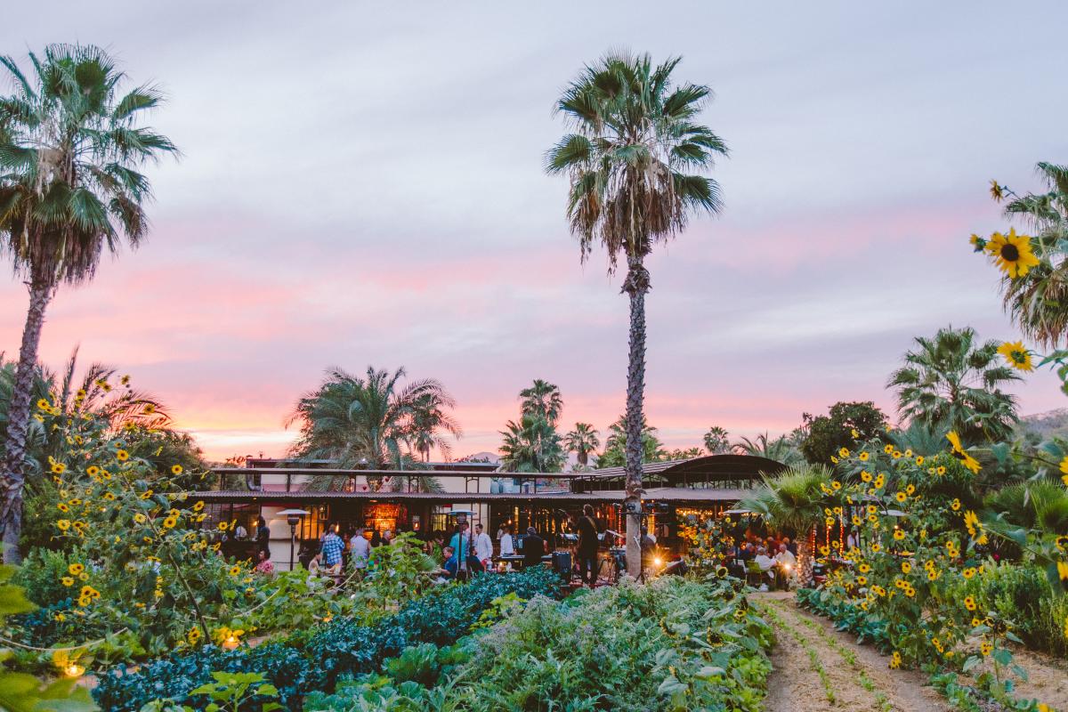 A farm to table restaurant in Los Cabos