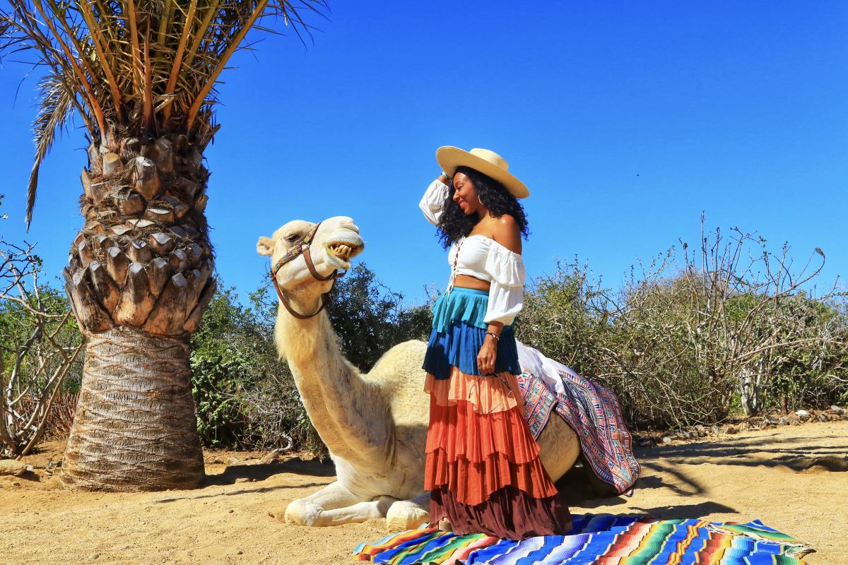 Camel Ride