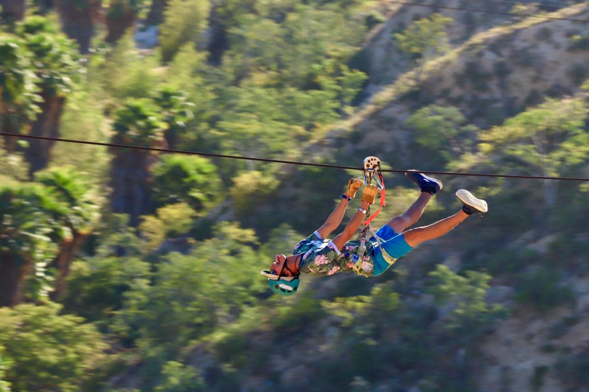 A person zip-lining with a lush green backgroun
