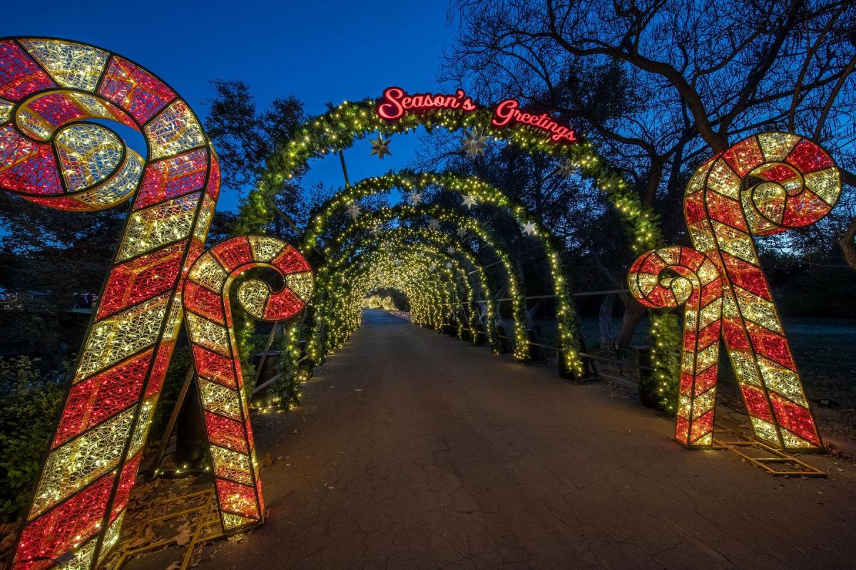 Candy canes and greenery trellises line the path along Holiday Road