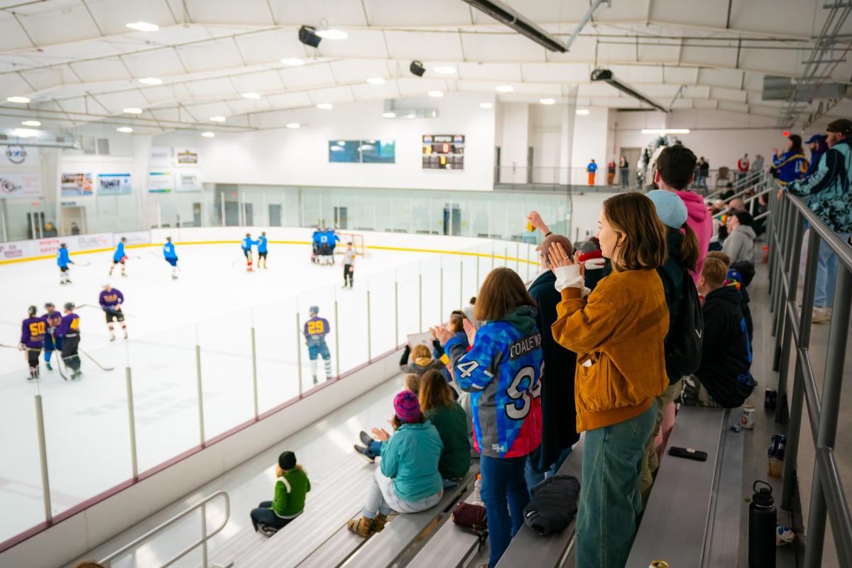 Crowd cheering in stands at Verona Ice Area hockey game