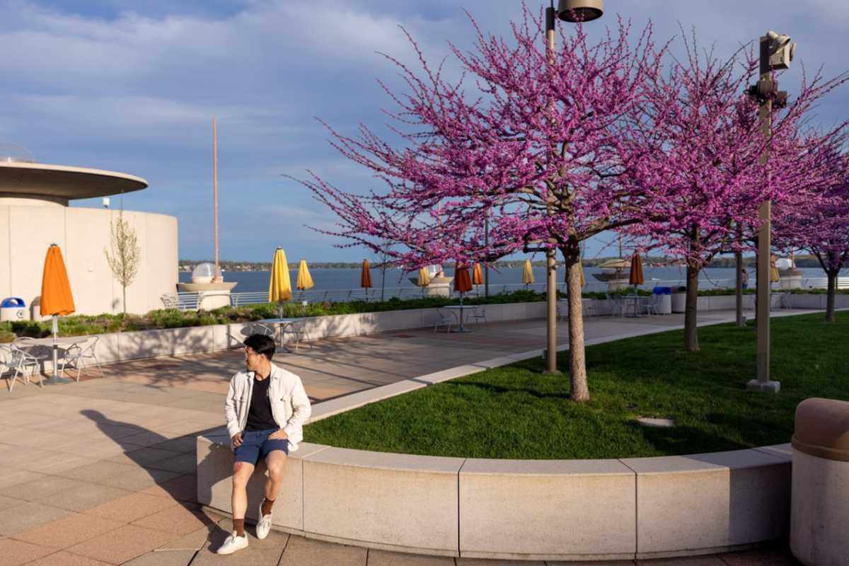 Beautiful pink trees bloom in the spring as a man sits on the rooftop of Monona Terrace with Lake Monona in the background