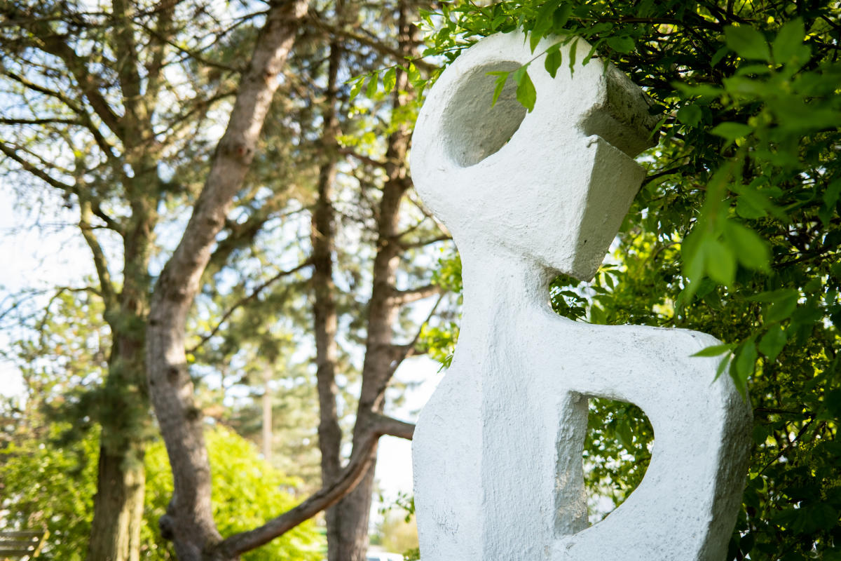 Creature Abstract Head Sculpture by Sid Boyd