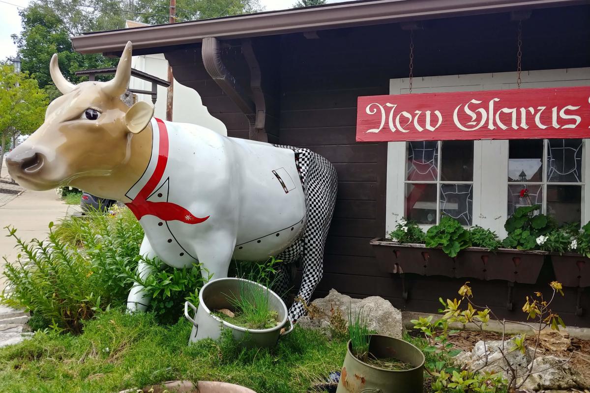 A glass cow in front of a store in New Glarus, WI