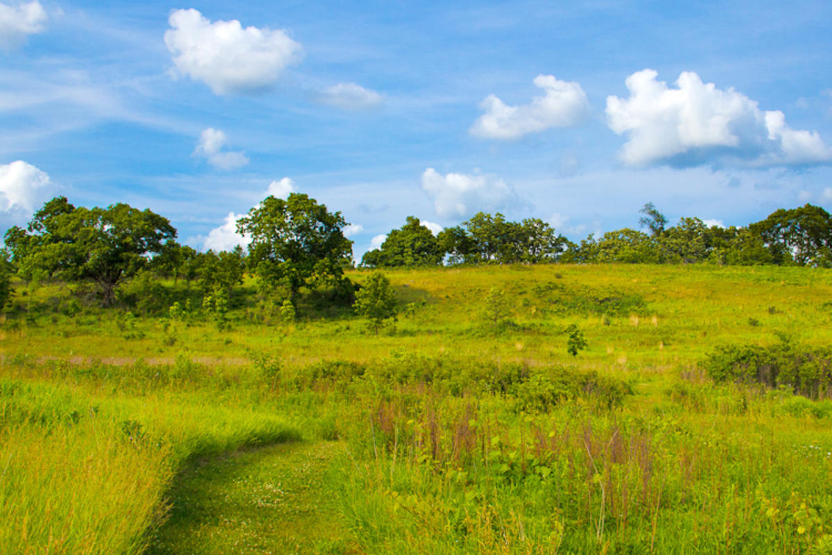 A hiking trail leads through an open prairie