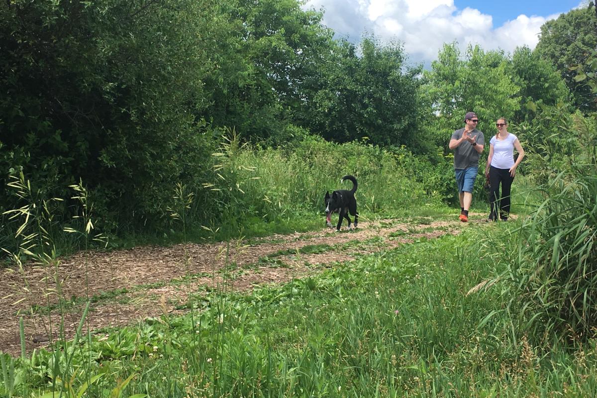 A couple walks along a trail with their dog