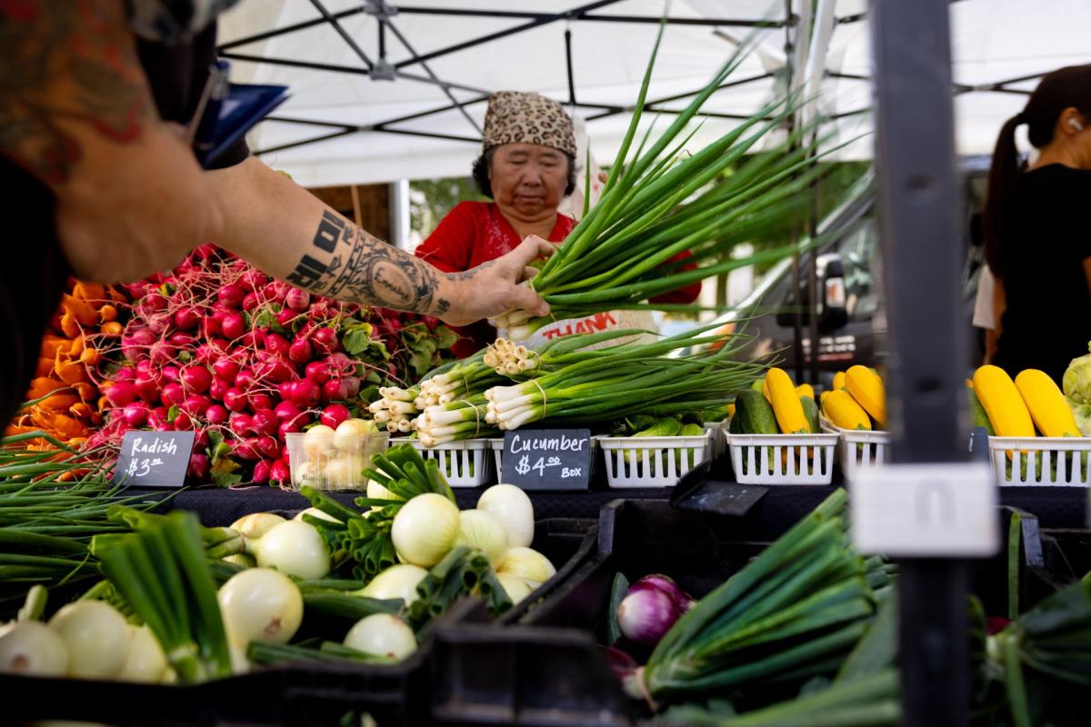 A person grabs green onions from a display at the Dane County Farmer's Market