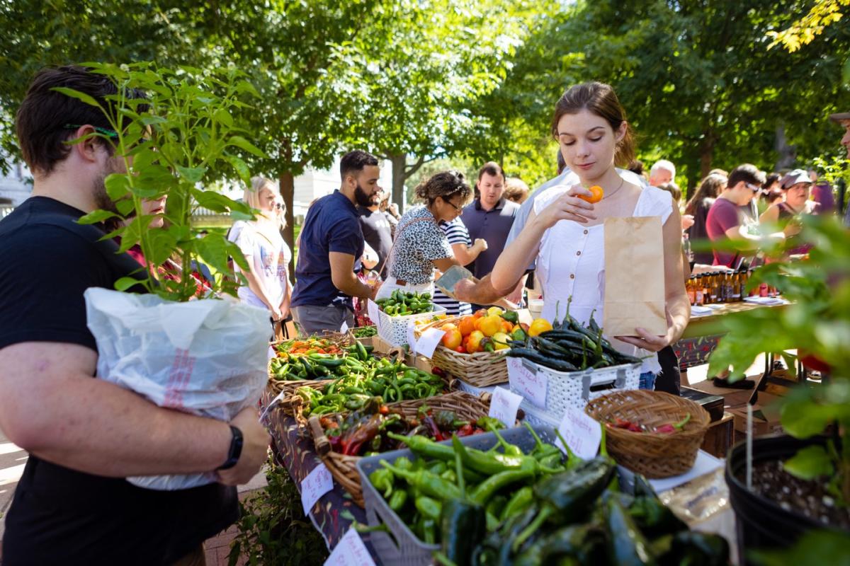 Dane County Farmers' Market | What To Know About the Biggest Farmers'  Market in the U.S.