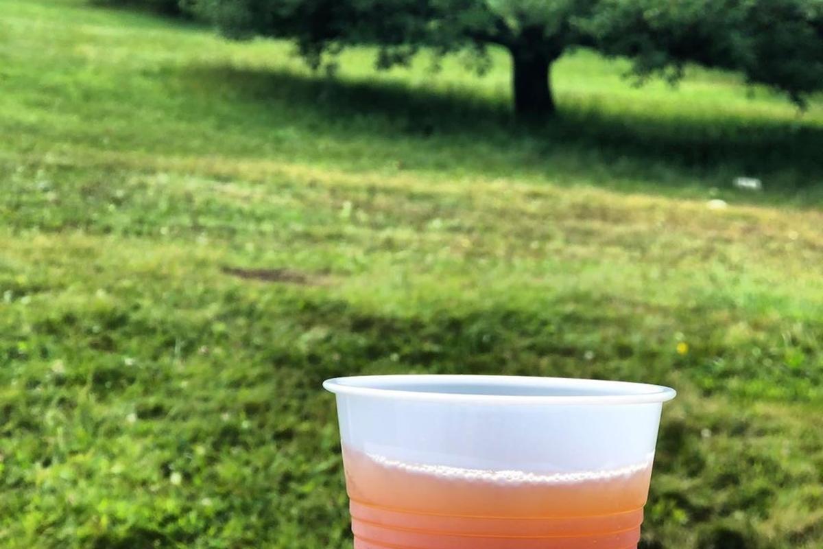 A cup of apple cider with an orchard in the distance