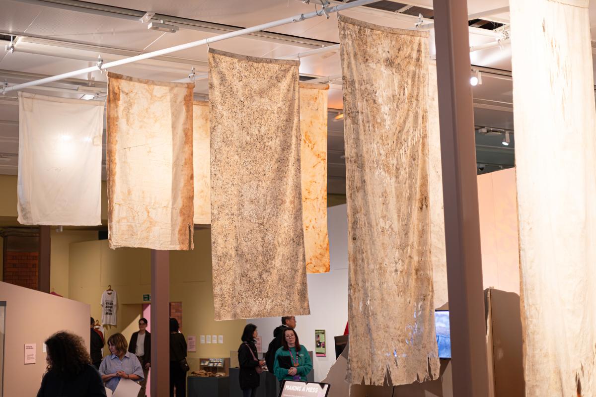 cotton display at human natures