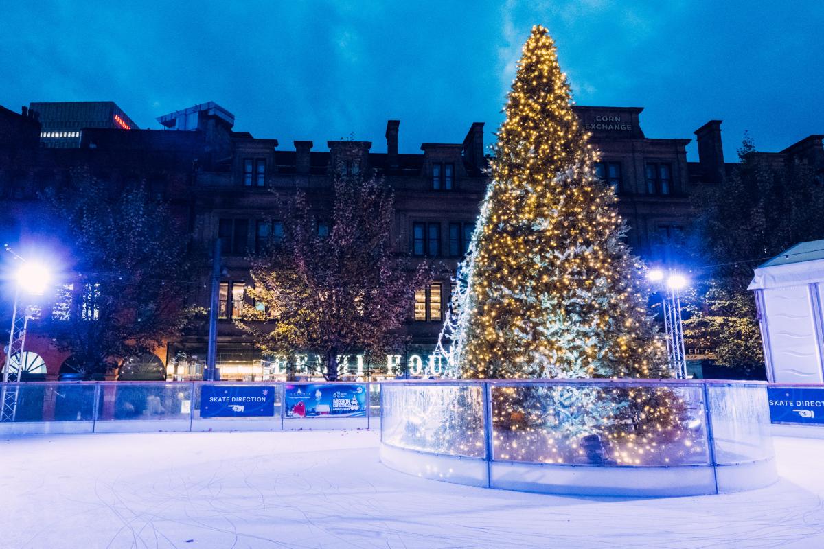 Cathedral Gardens Ice Rink
