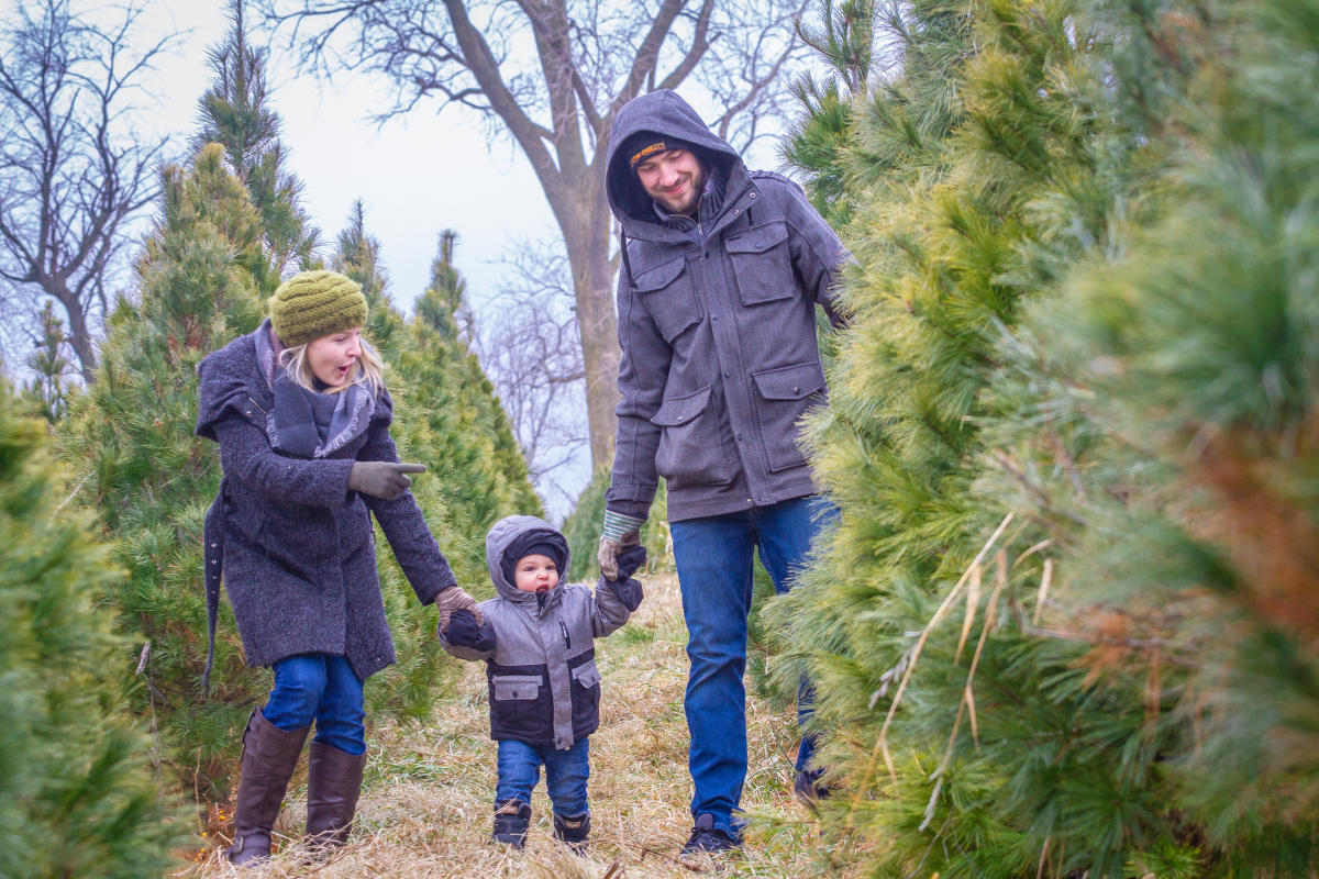 Family walking among Christmas trees