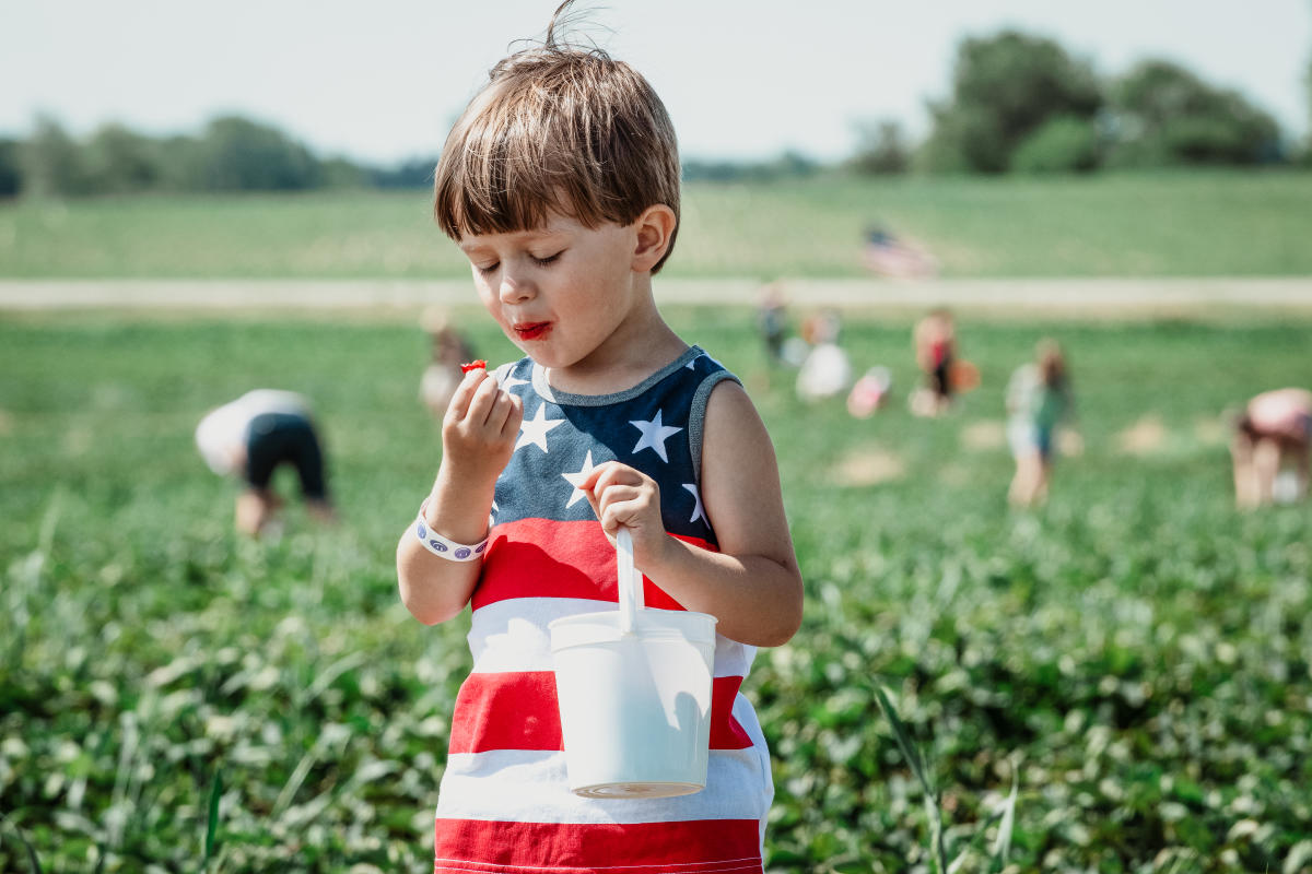 Boy Eating Strawberries Stades