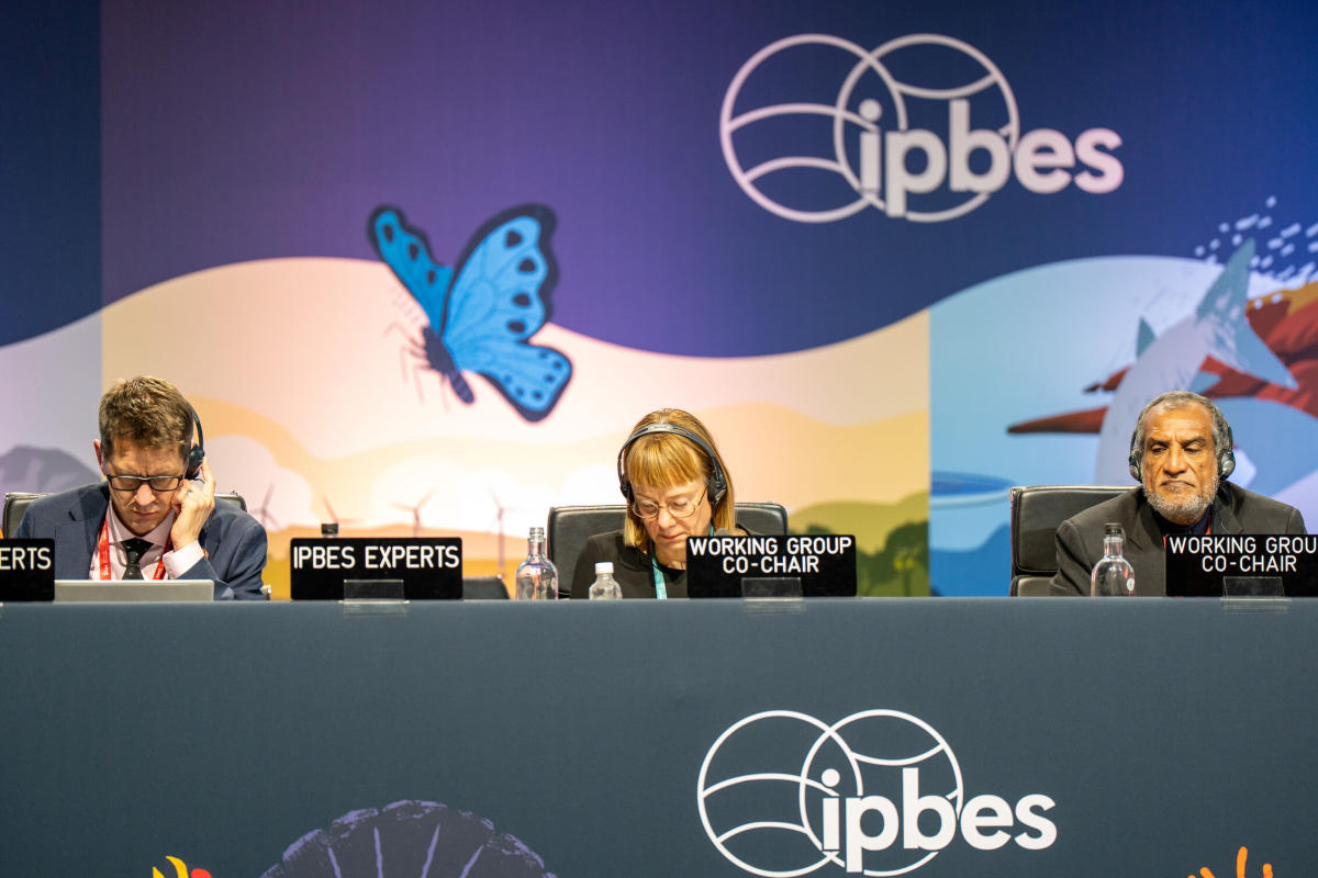 Delegates on the opening of ipbes 12