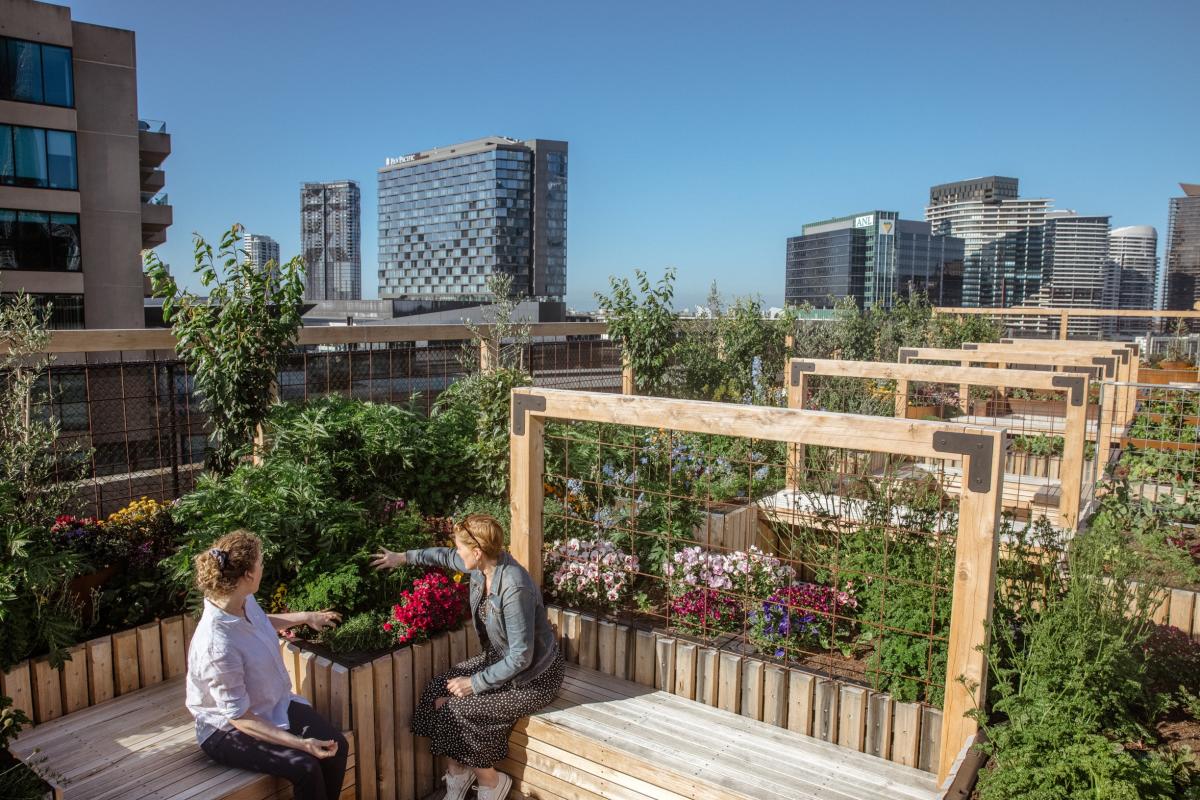 Garden on rooftop with Melbourne skyline in background