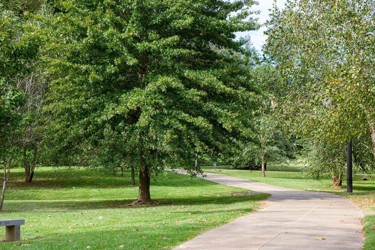 Oconee River Greenway Trails