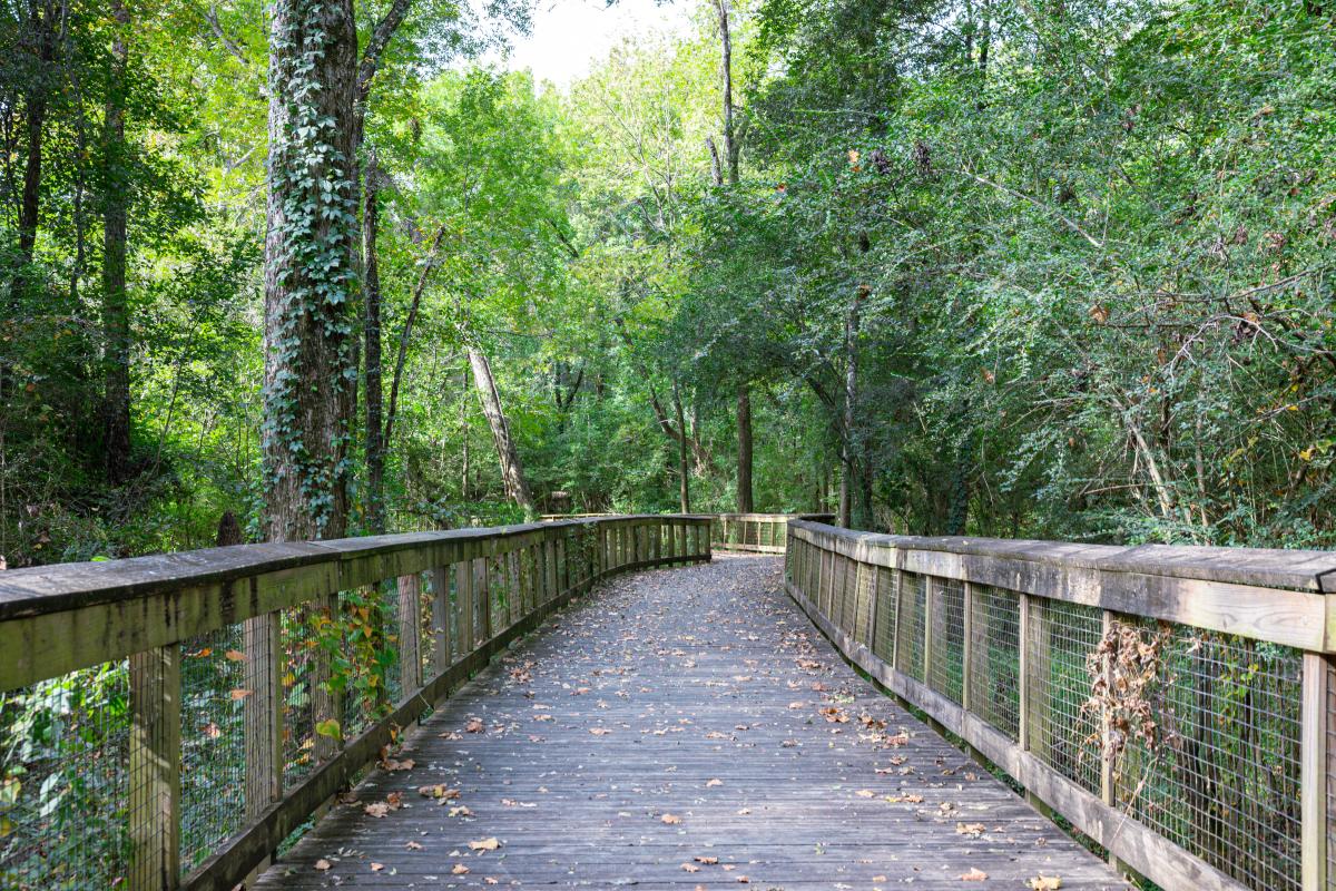 Oconee River Greenway