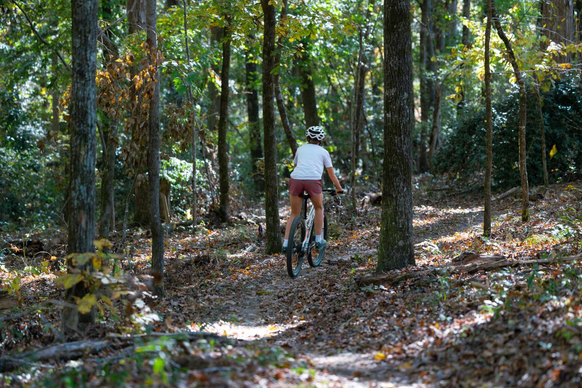 Cyclist at Selma Erwin