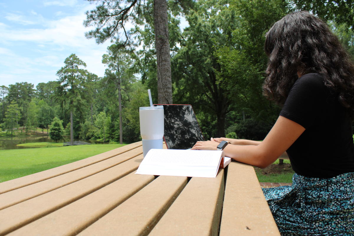 Studying at Lockerly Arboretum