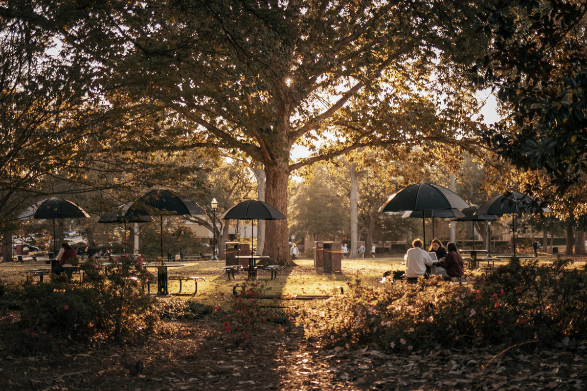 Georgia College Campus Fall