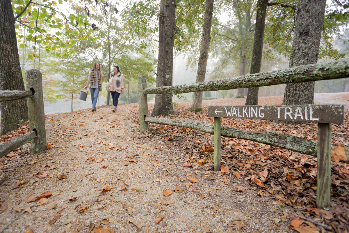 Lockerly Arboretum walking trails