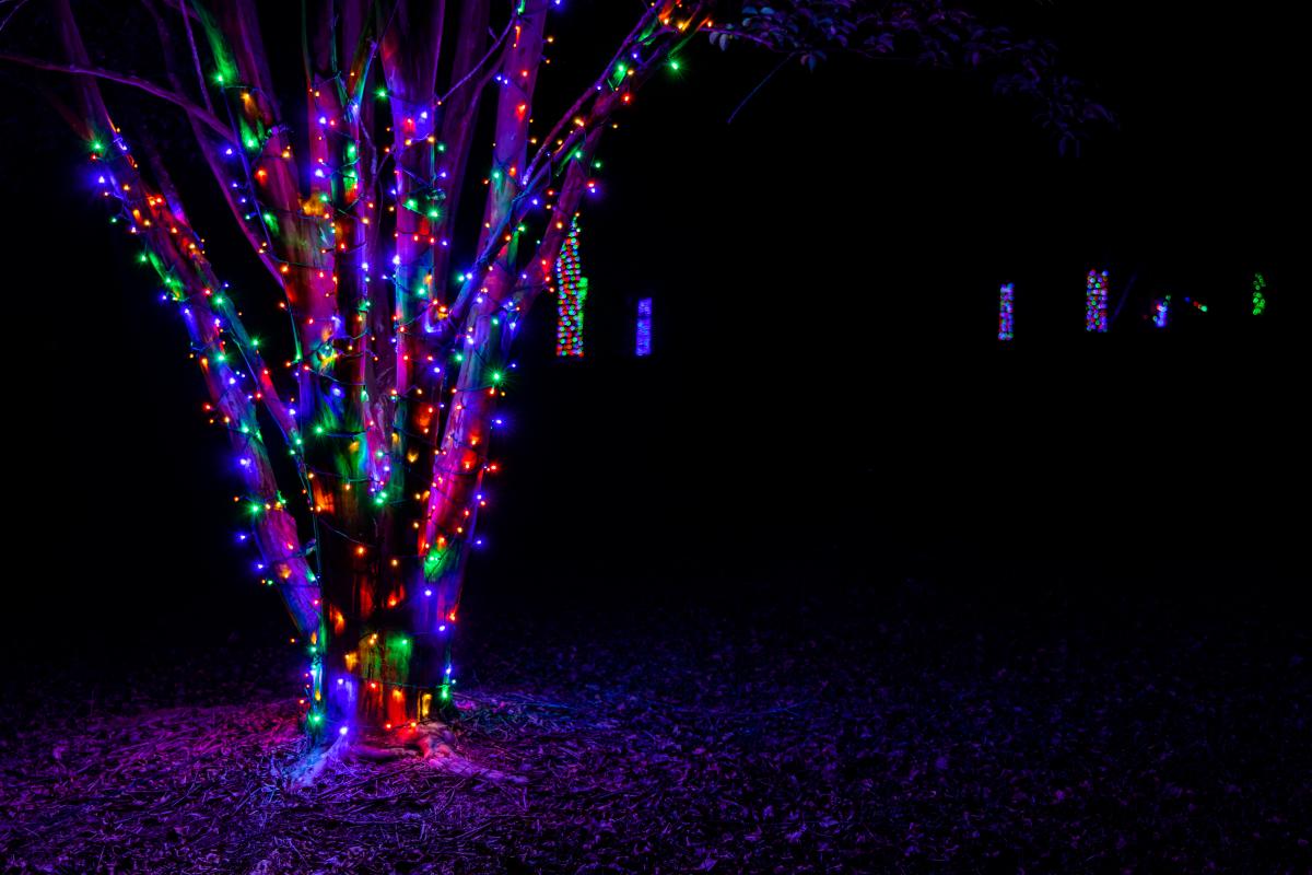 Lees Summit Christmas Lights 2022 Where To Find The Best Christmas Lights In Milledgeville, Ga