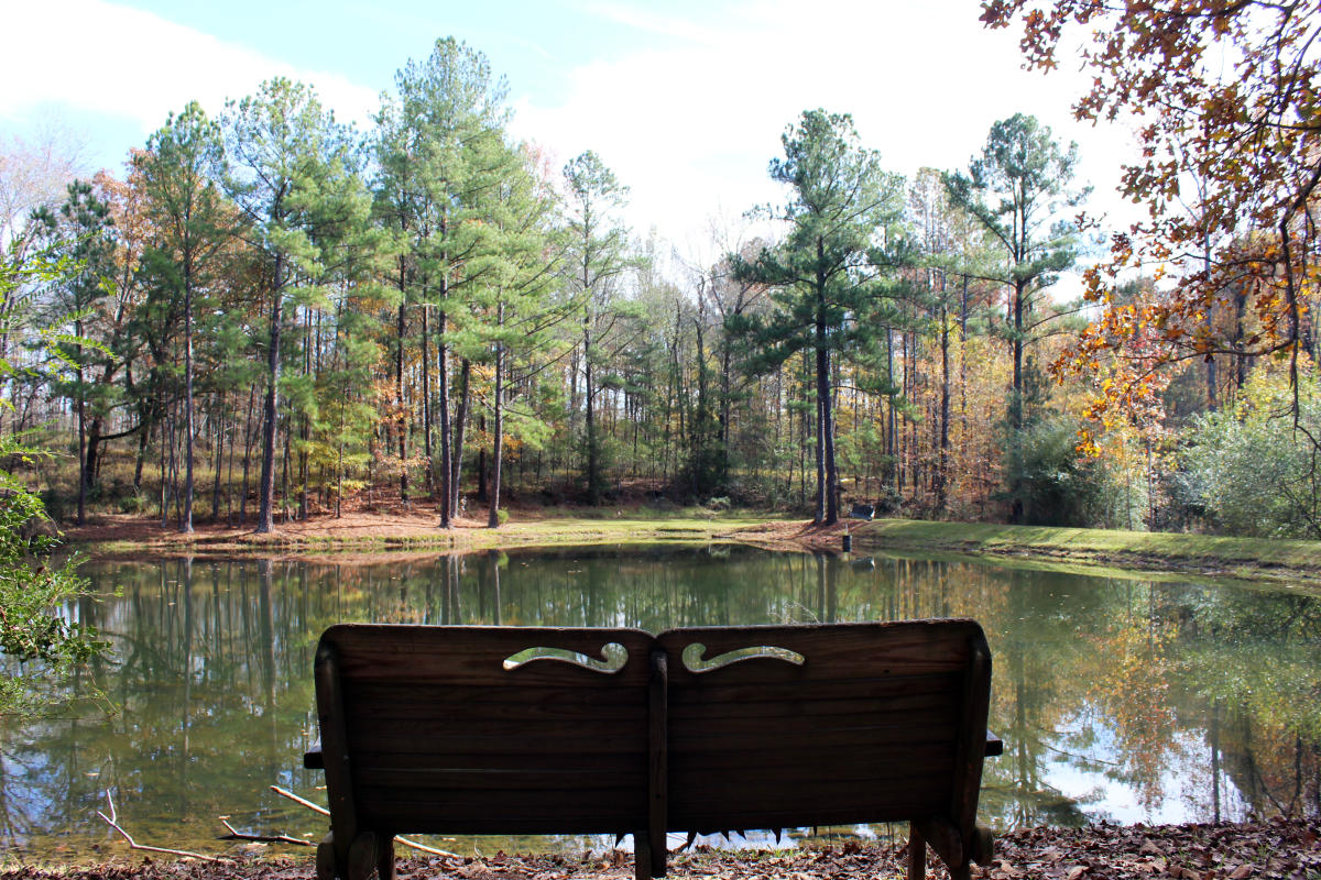 Bench overlooking the water in Tobler Creek Trail at Andalusia